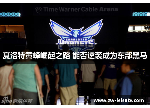 夏洛特黄蜂崛起之路 能否逆袭成为东部黑马